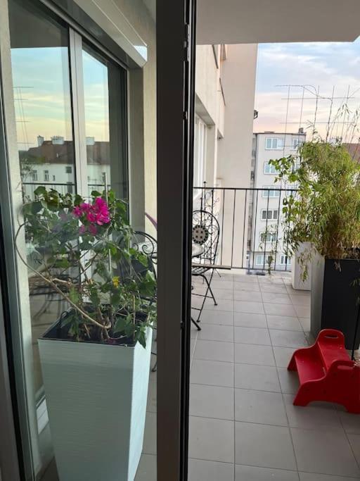 Apartment In Historical Center With Park View プルゼニ エクステリア 写真