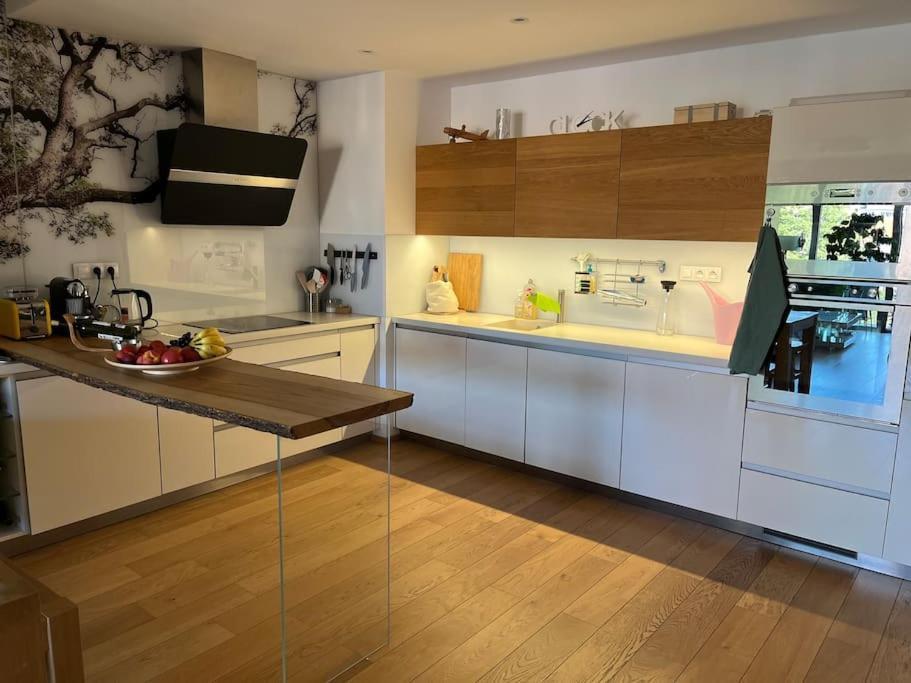 Apartment In Historical Center With Park View プルゼニ エクステリア 写真