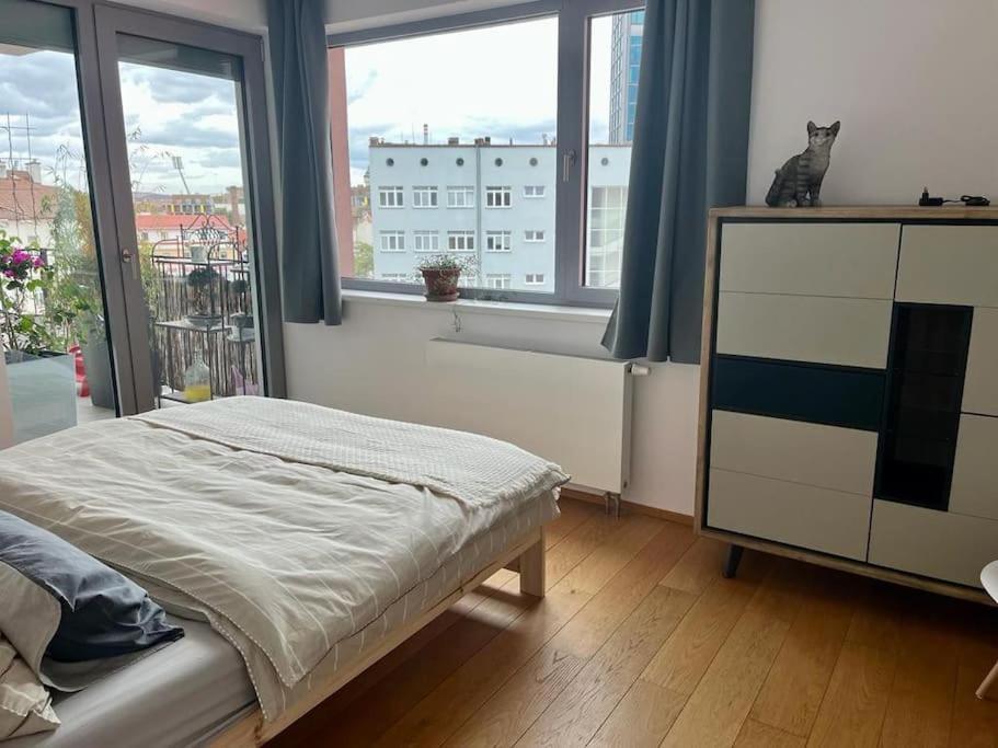 Apartment In Historical Center With Park View プルゼニ エクステリア 写真