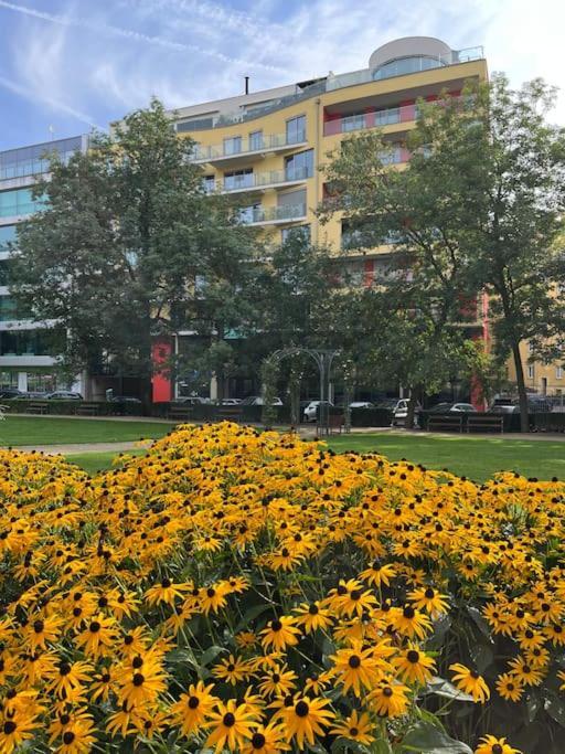 Apartment In Historical Center With Park View プルゼニ エクステリア 写真